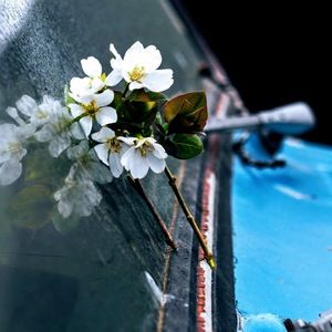 Meet your Posher, Madeline